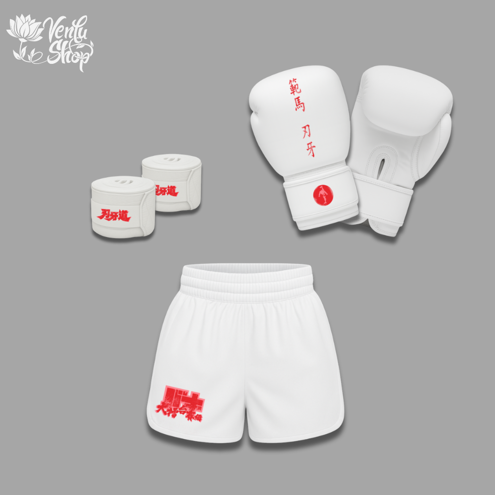 Baki Boxing Set