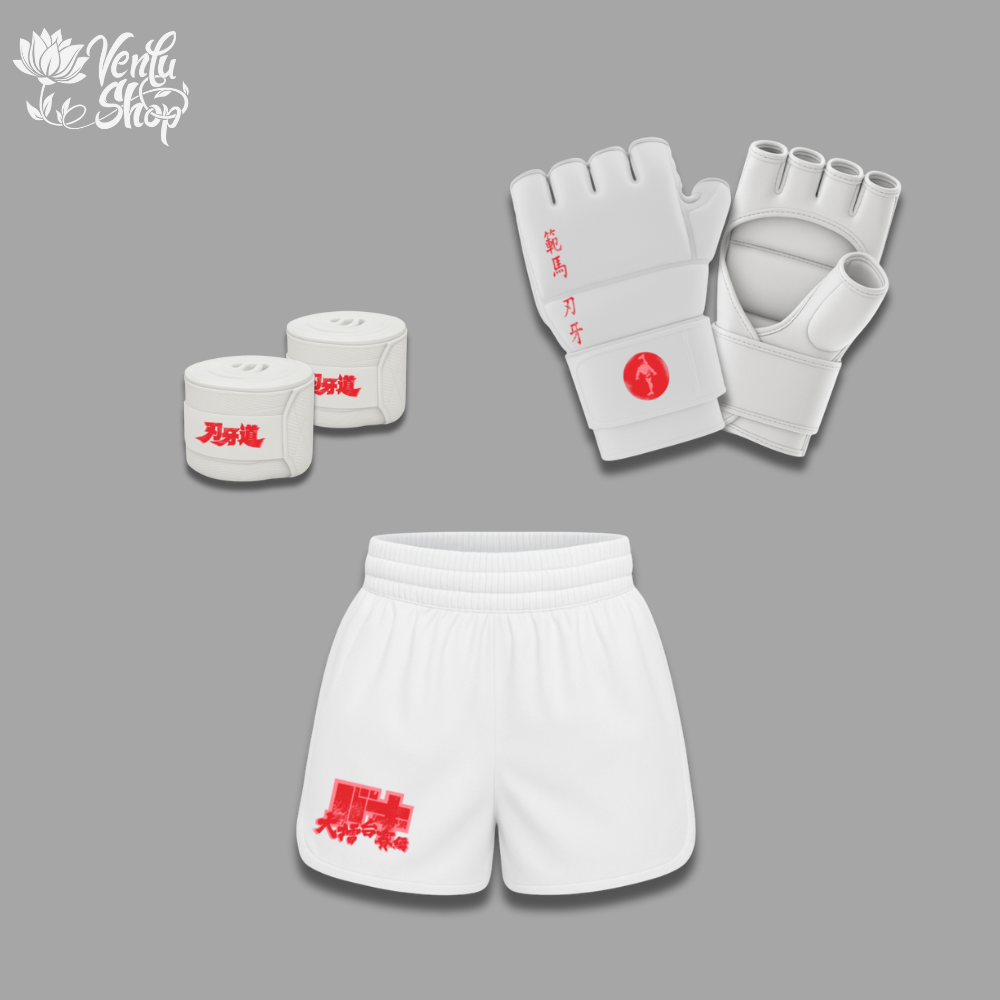 Baki MMA Set