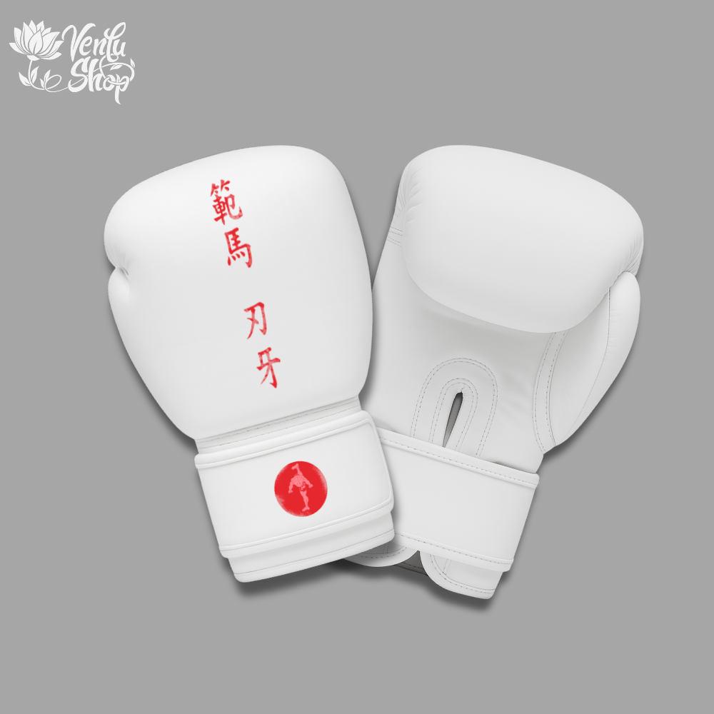 Baki Boxing Gloves