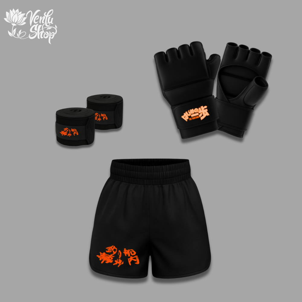 Ippo MMA Set