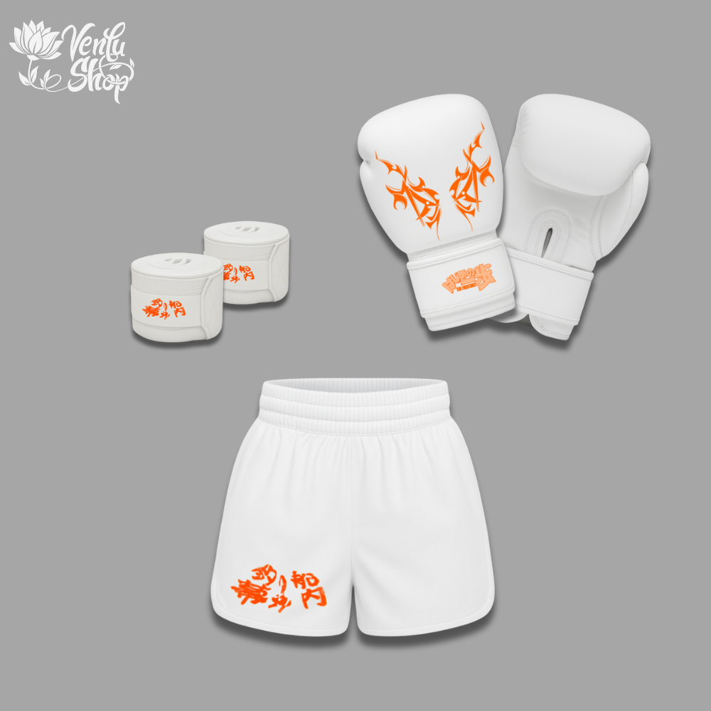 Ippo Boxing Set