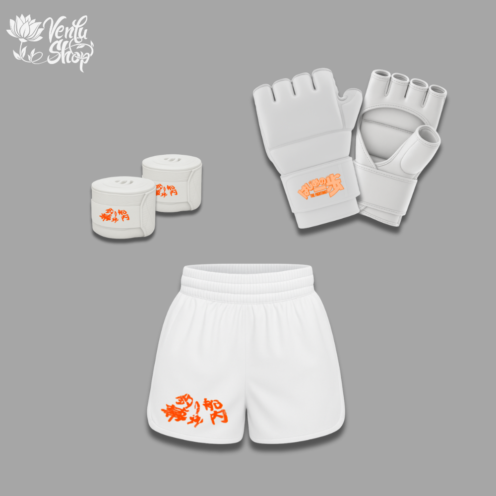 Ippo MMA Set