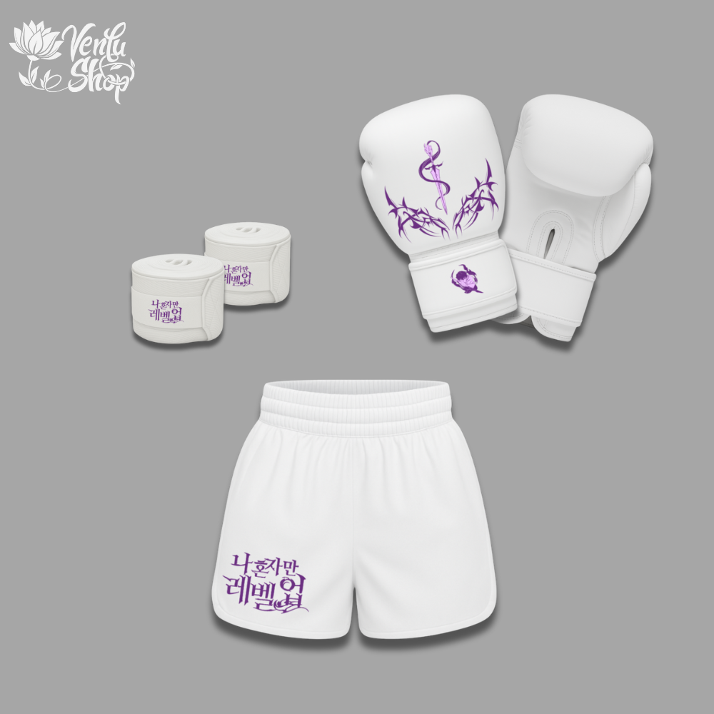 Jin Woo Boxing Set